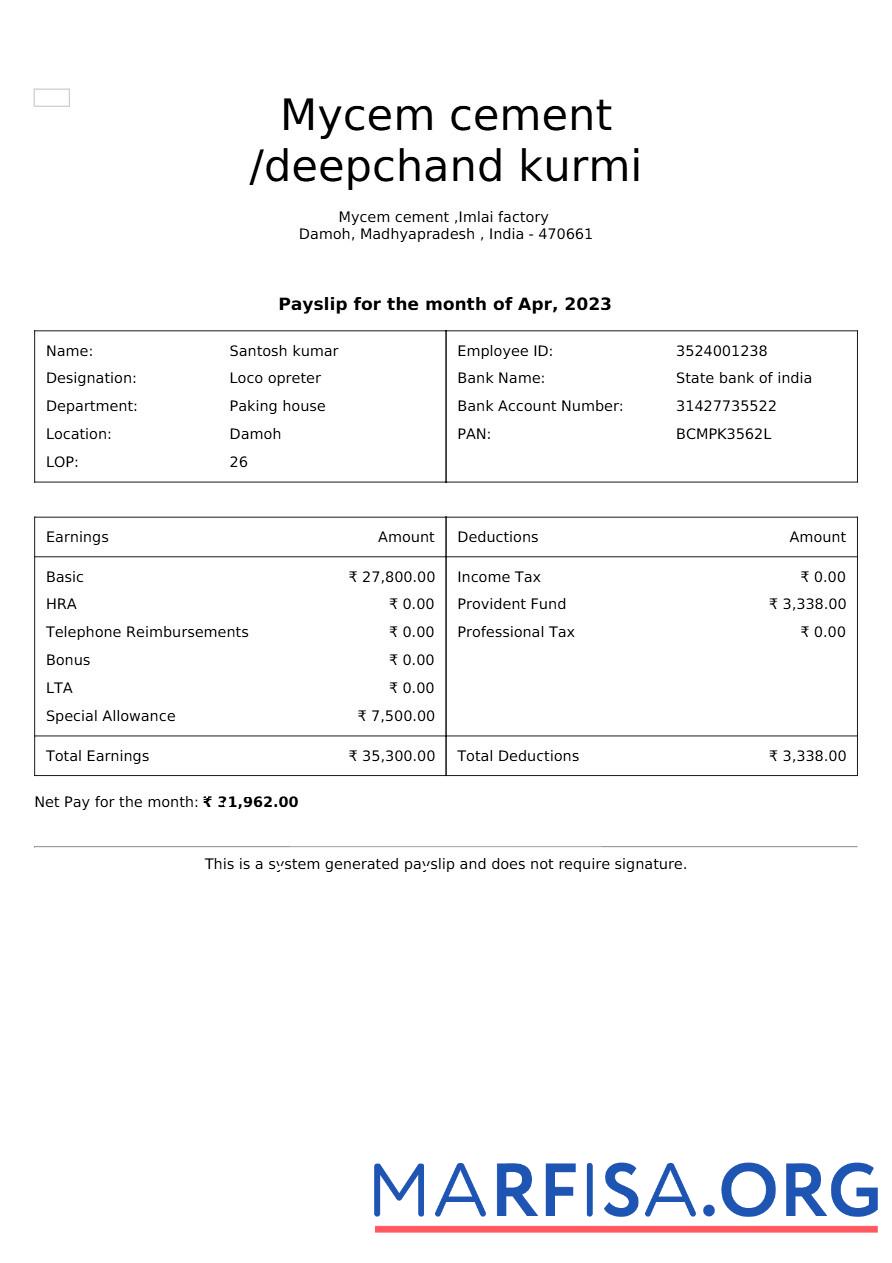 Realistic Mycem cement payslip example